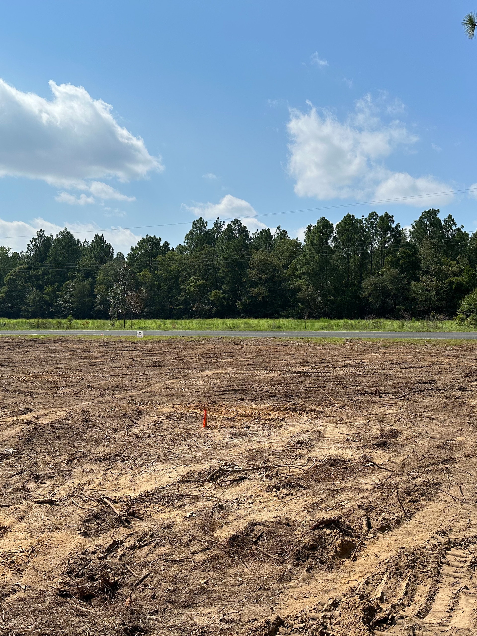 Cleared dirt lot with a forest background